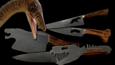 Foto de AGUDO. Cuteleiro, com apoio da UFSM, lança uma coleção de facas inspirada em fósseis pré-históricos
