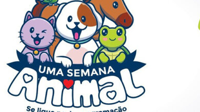 Foto de CIDADE. Semana Animal encerra neste domingo com uma tarde para adoções, na ‘Praça do Mallet’