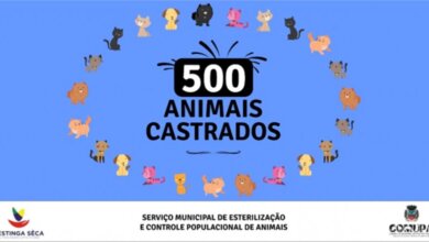 Foto de RESTINGA SÊCA. Serviço Municipal de Esterilização ultrapassou o número de 500 animais castrados
