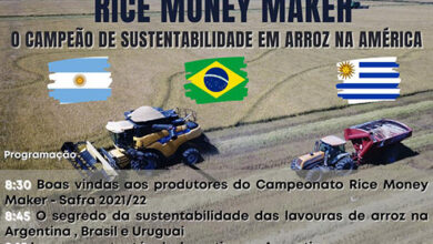 Foto de CAMPO. Rice Money Maker, coordenado por equipe da UFSM, reúne produtores de arroz de três países